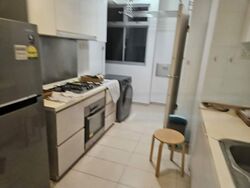 Oasis @ Elias (D18), Condominium #475505471
